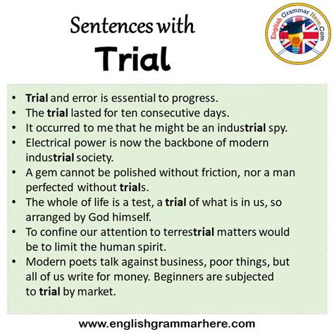 trial englisch|trial in a sentence.